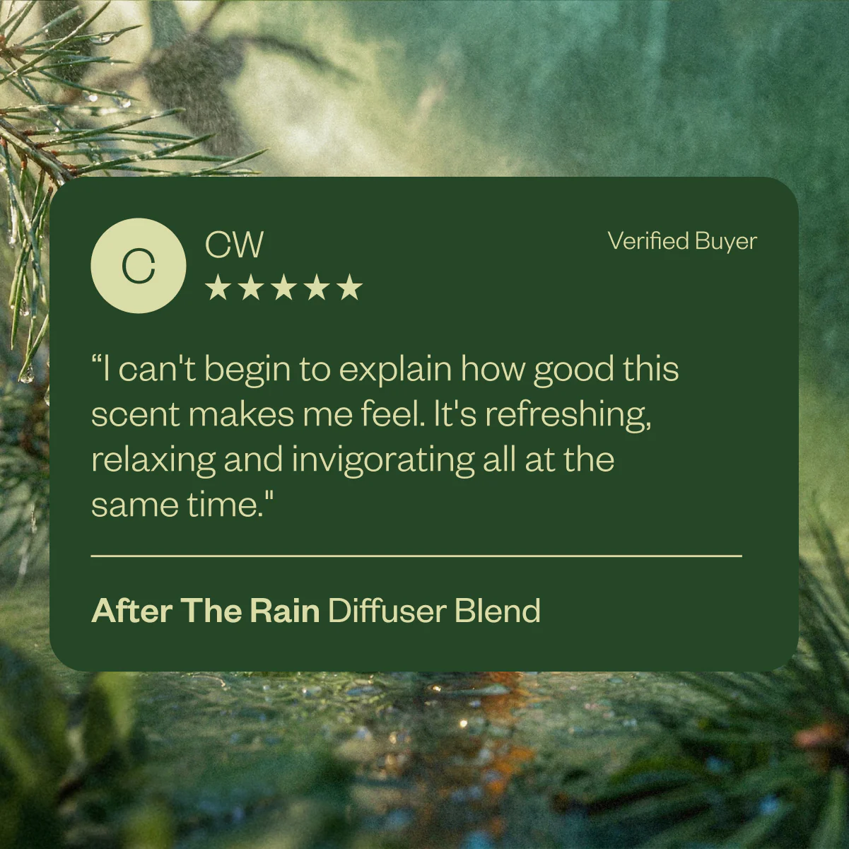 After the Rain - Image 4