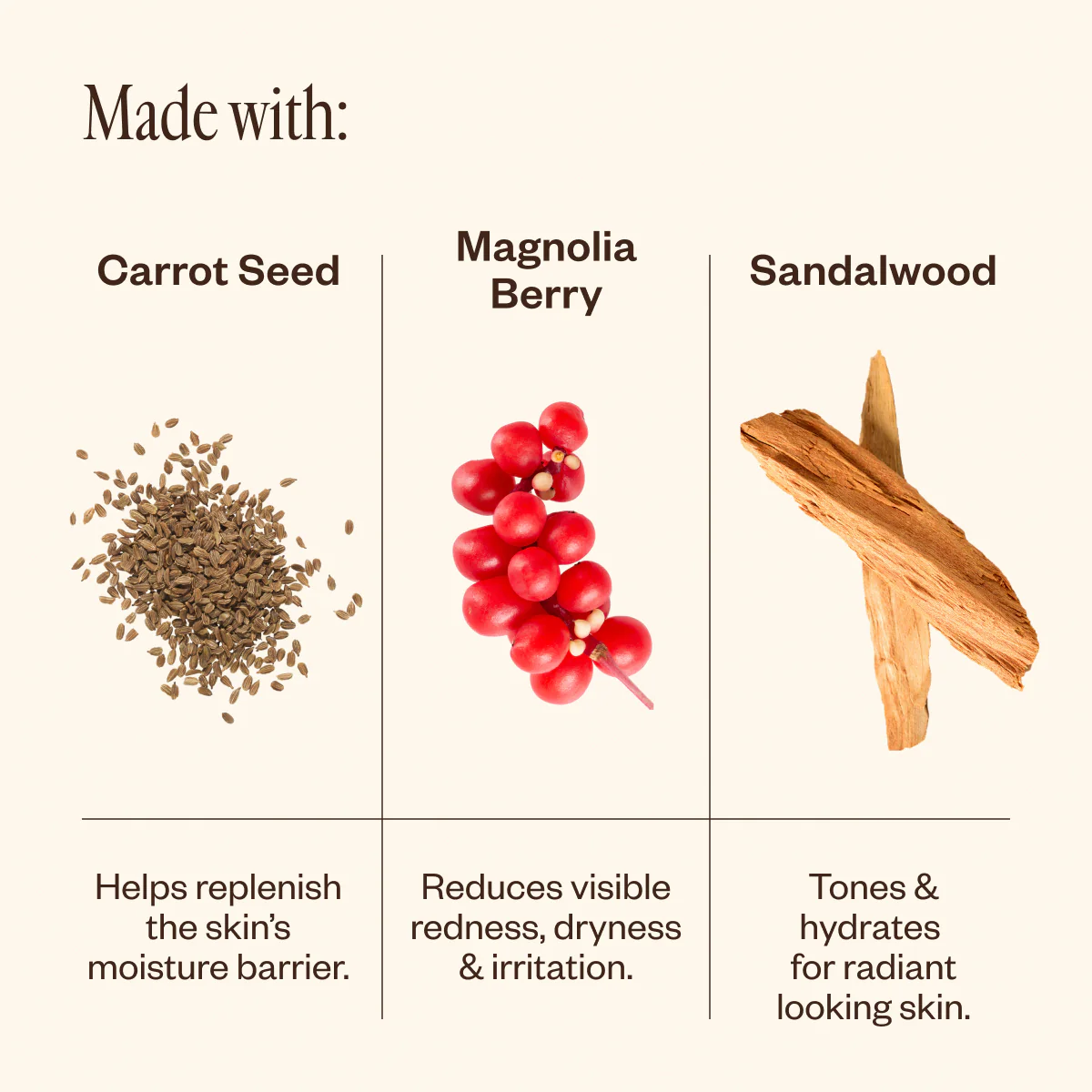 Dermedial Carrot+ - Image 5