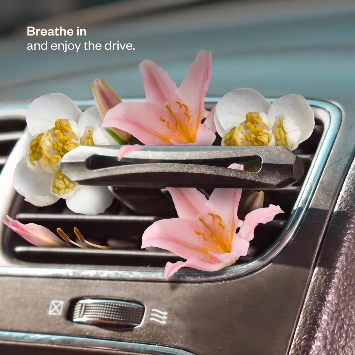 Drive Happy - Image 10