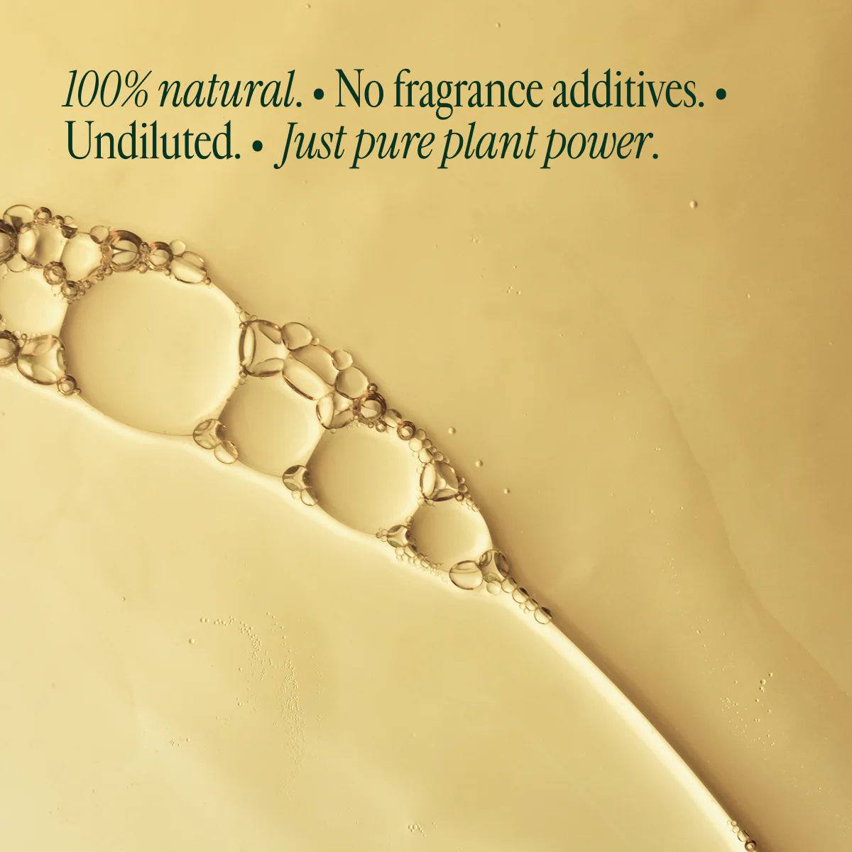 Floral Waters - Image 8