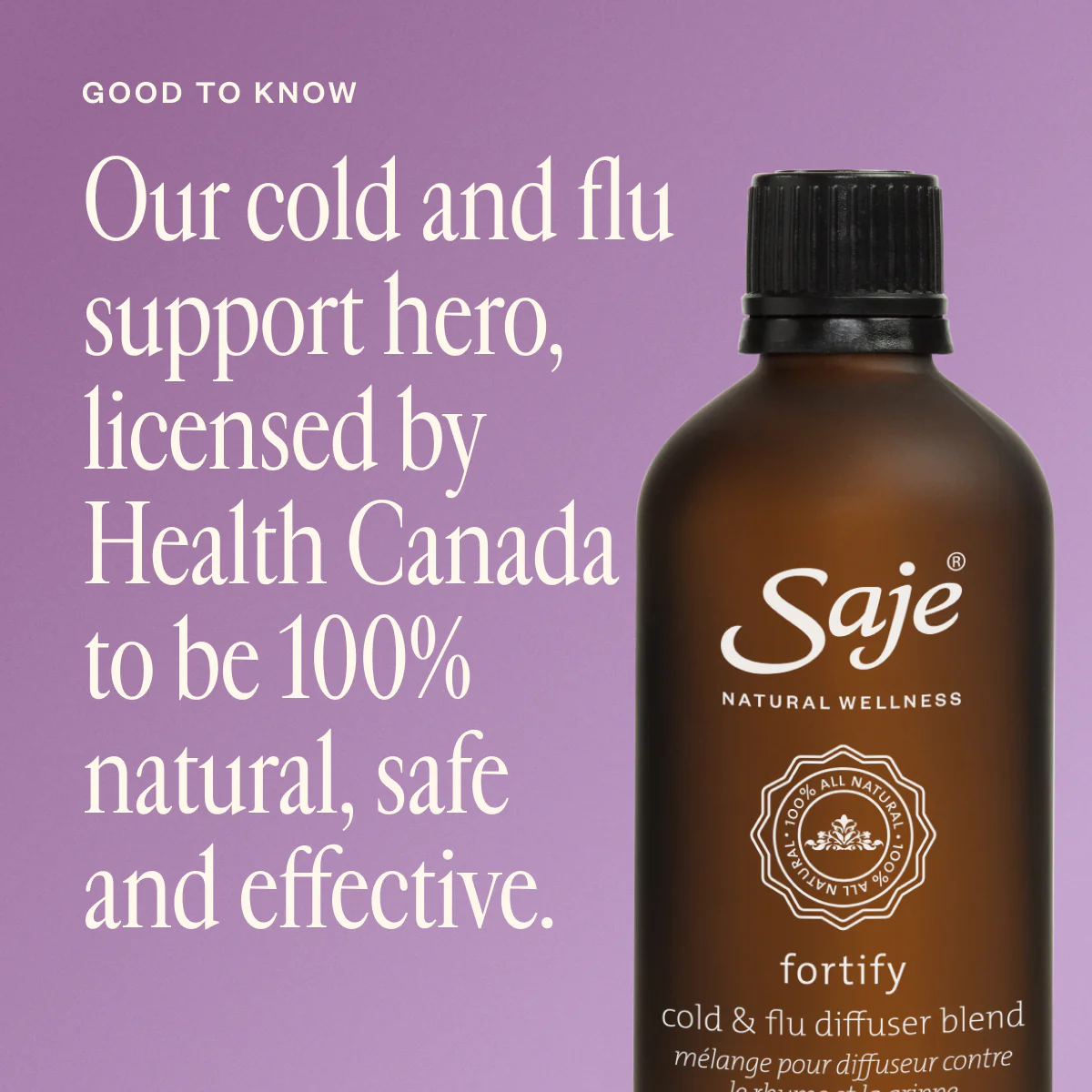 Fortify - Image 2