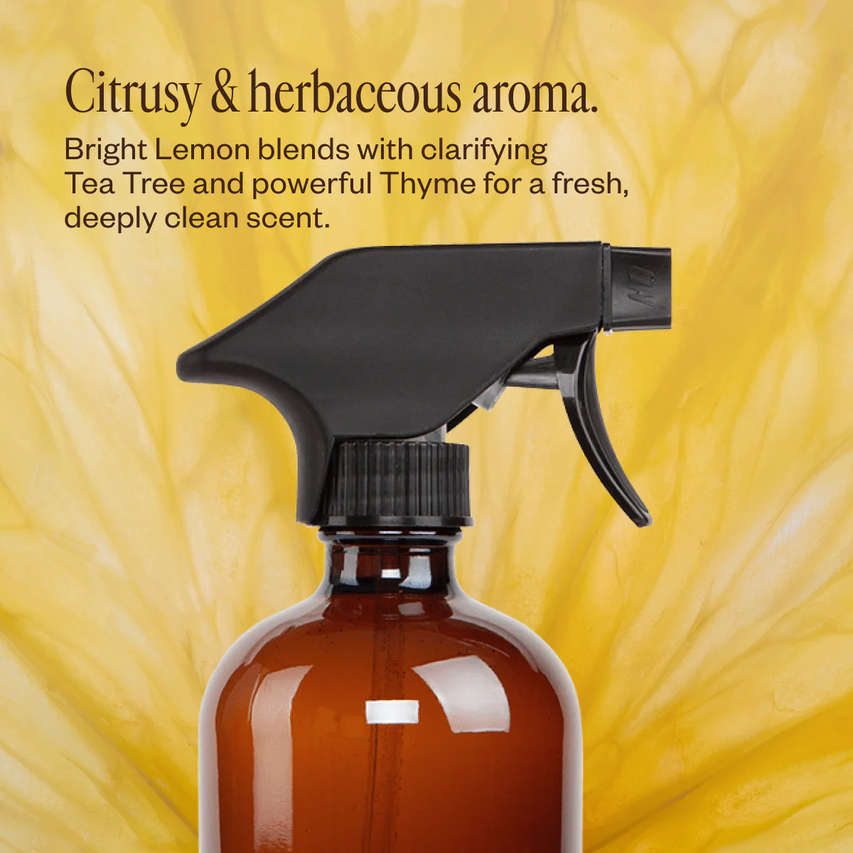 Home Cleaning Starter Kit - Image 10