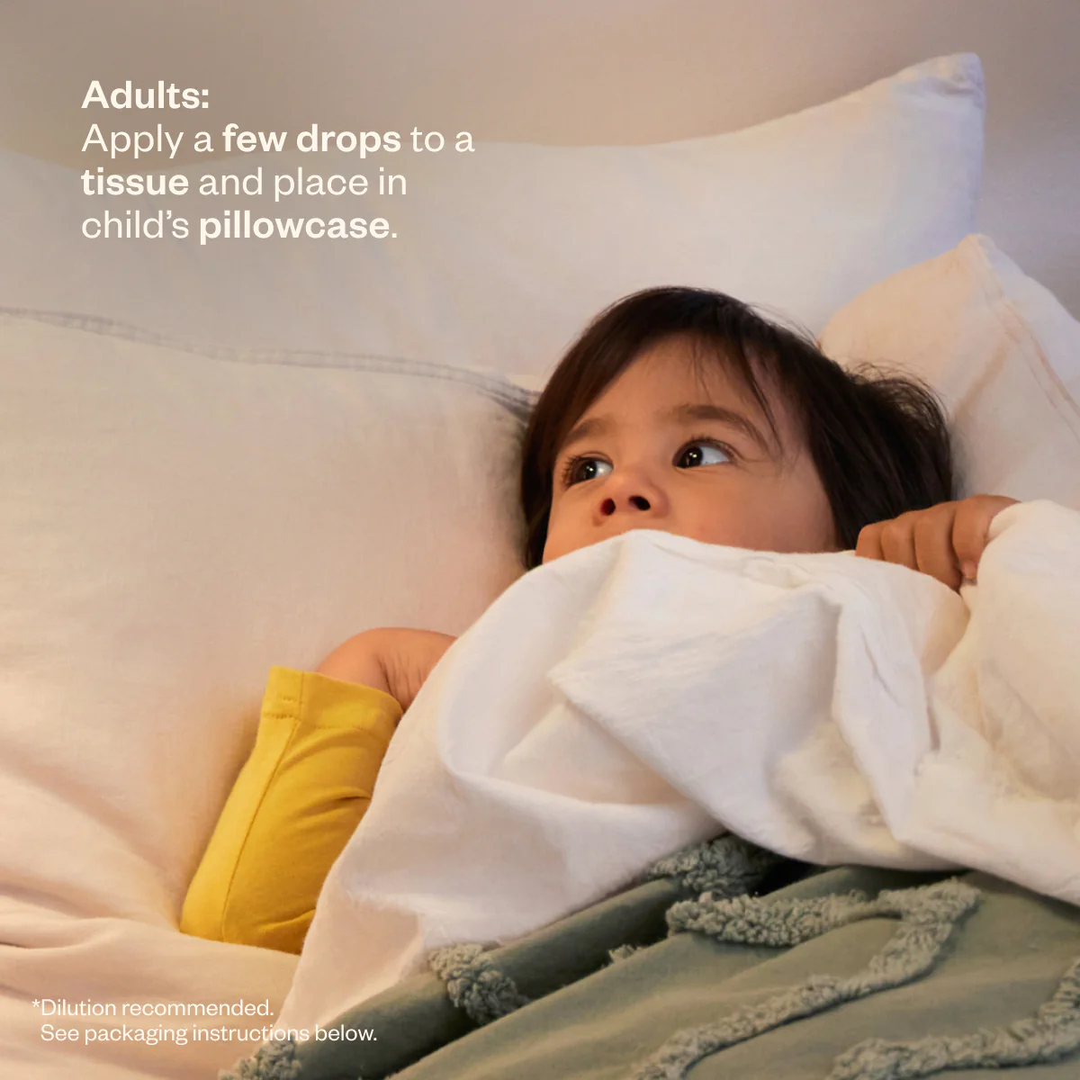 Lil' Dreamers - Image 11