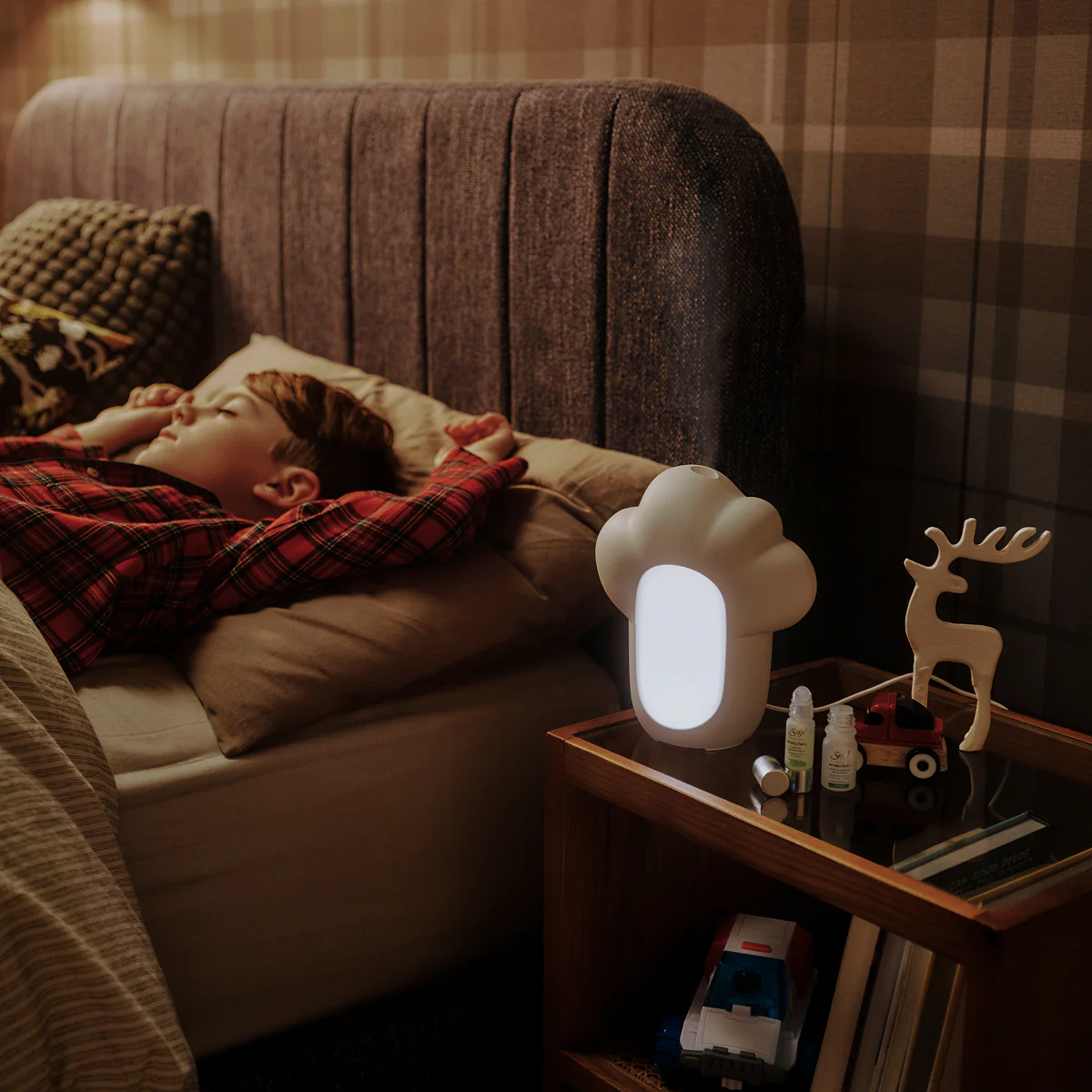 Lil' Dreamers - Image 6