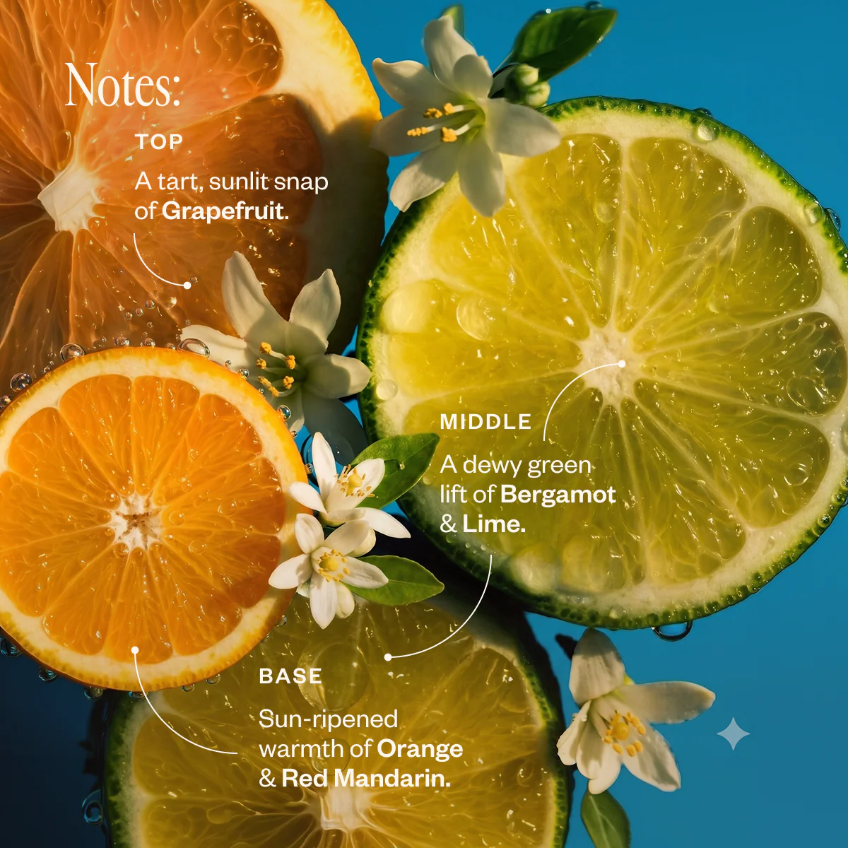 Liquid Sunshine® - Image 3
