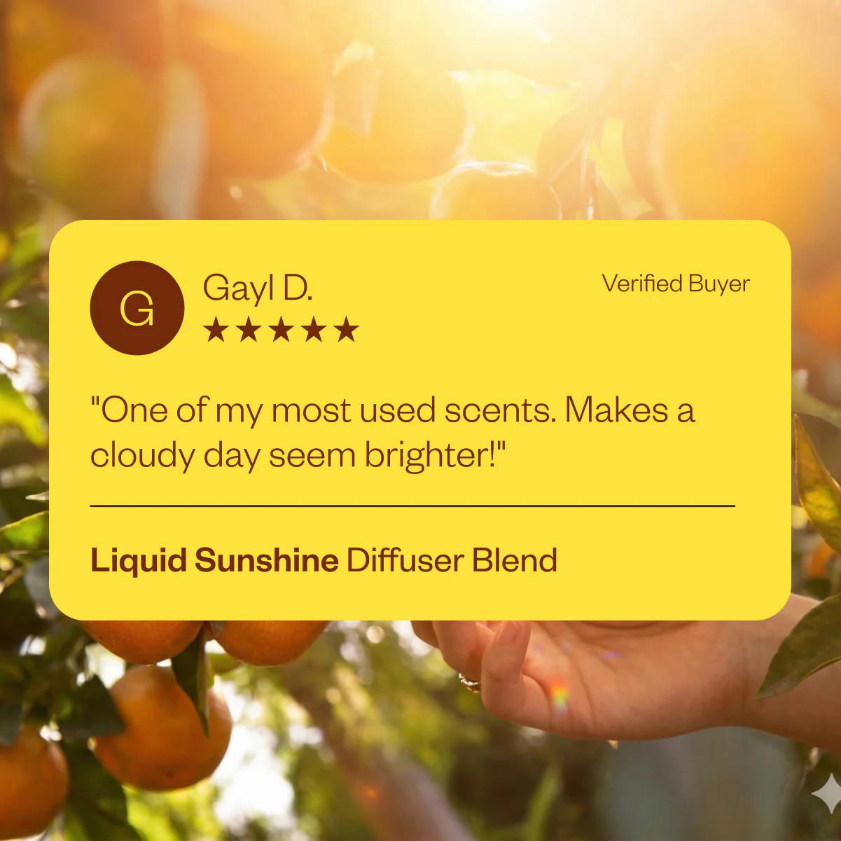 Liquid Sunshine® - Image 4