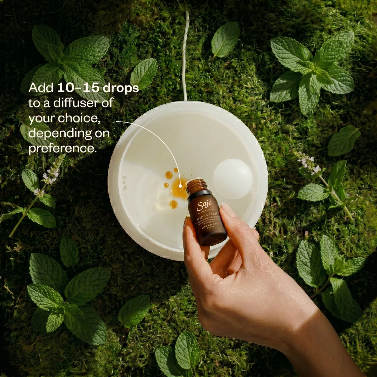 Peppermint Halo Ritual - Image 11