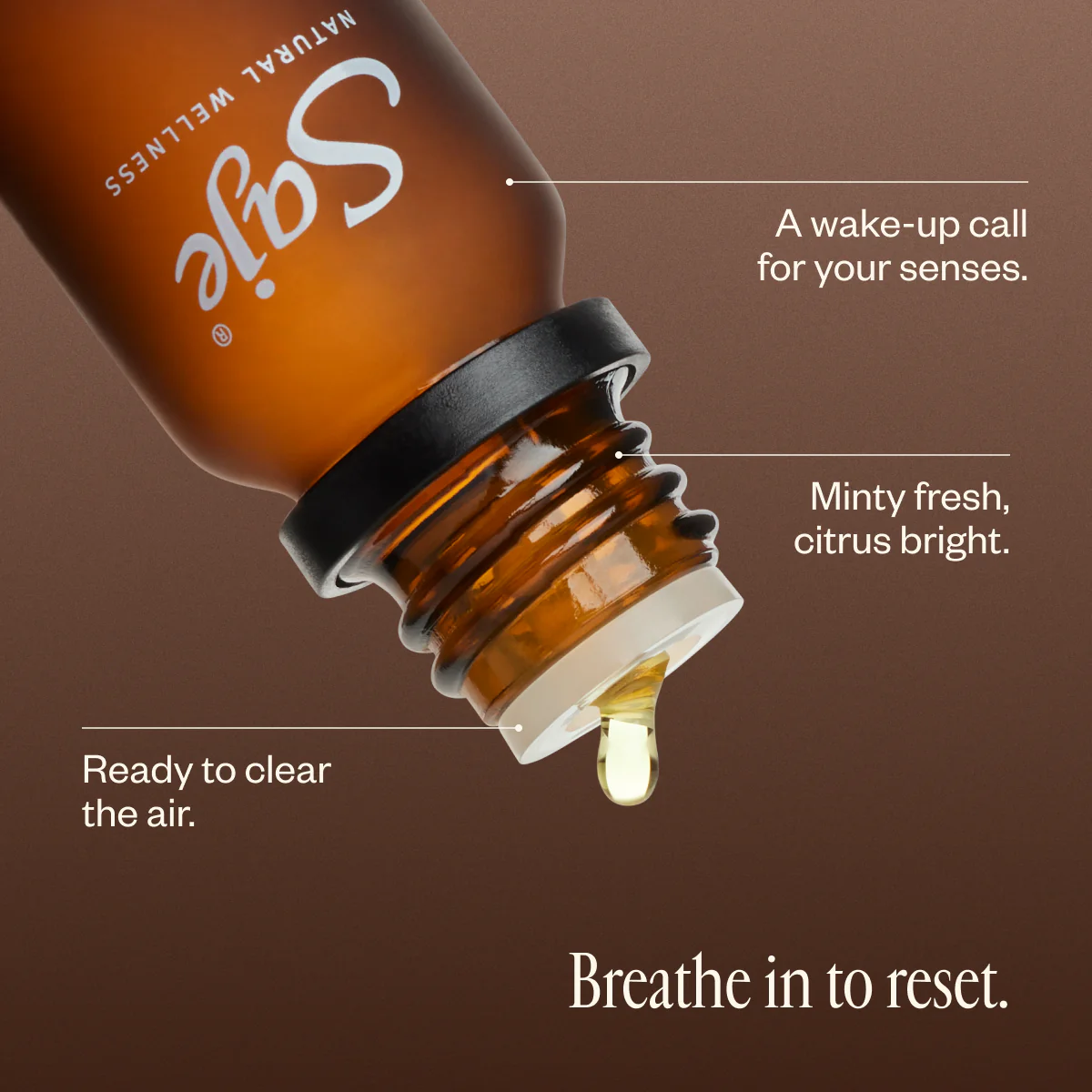 Refresh - Image 3