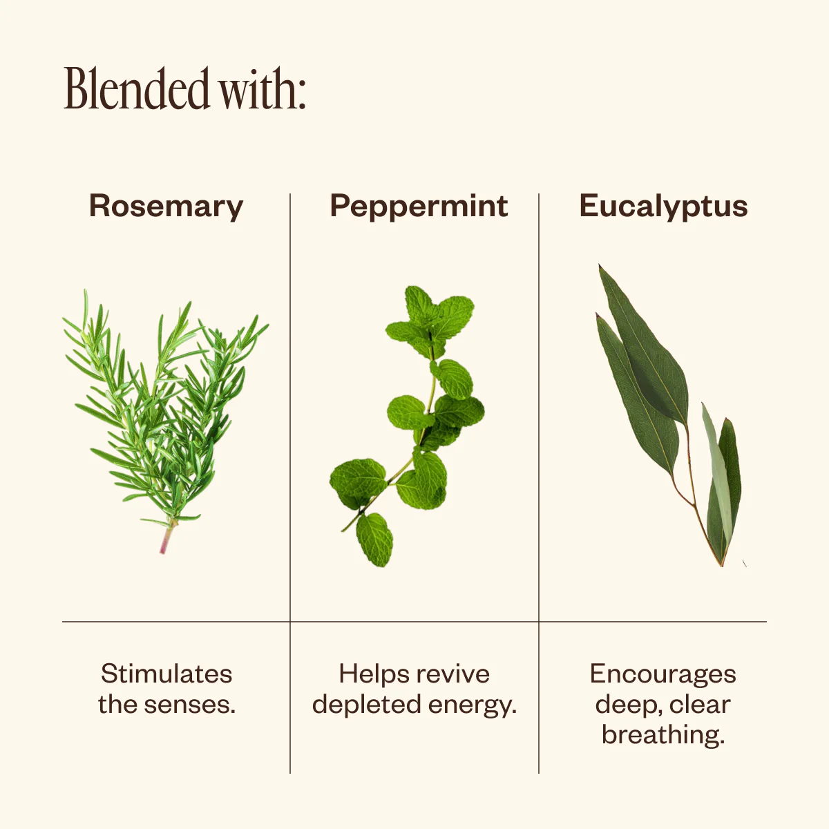 Refreshmint Trio - Image 4