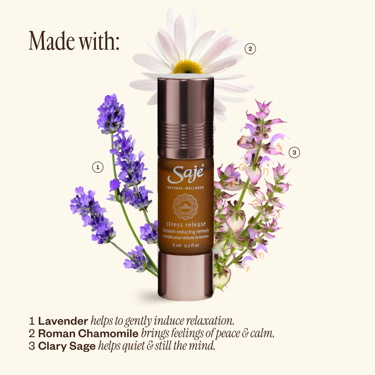 Stress Release Kit - Image 5