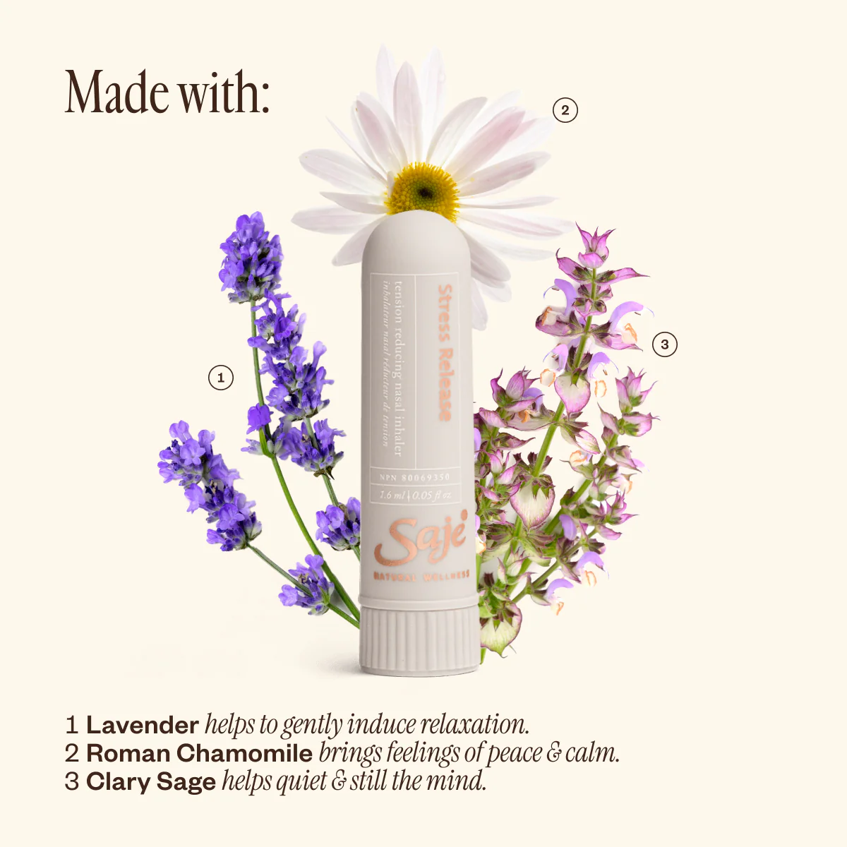 Stress Release Kit - Image 7