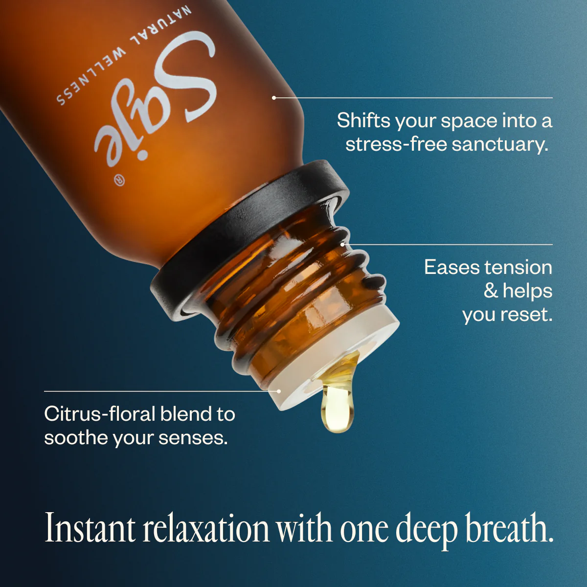 Unwind - Image 3