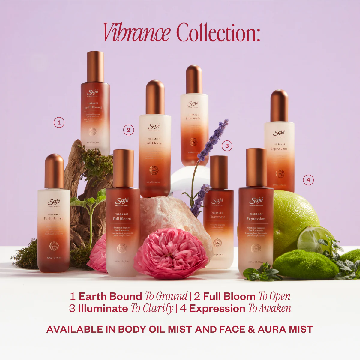 Vibrance Expression - Image 10