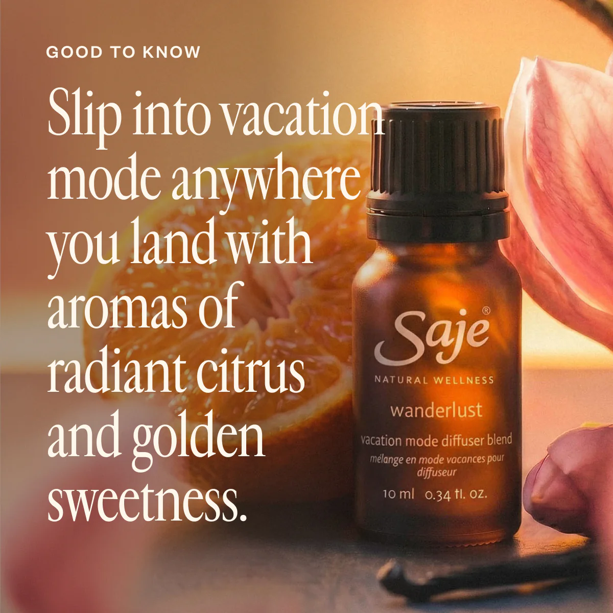 Wanderlust Diffuser Duo - Image 2