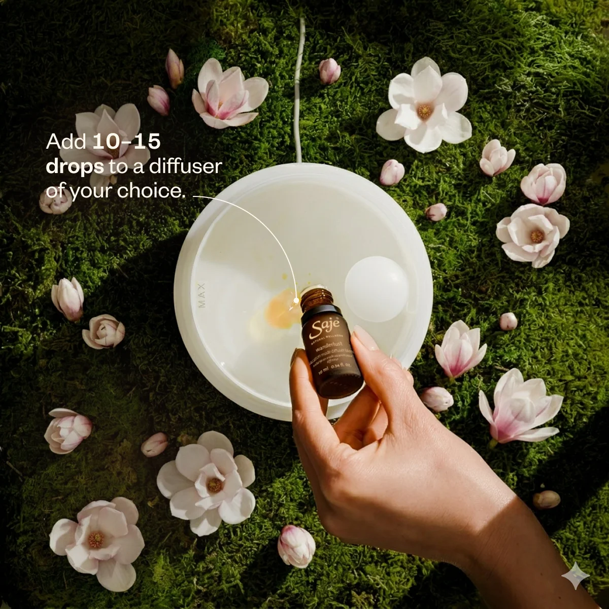 Wanderlust Diffuser Duo - Image 8