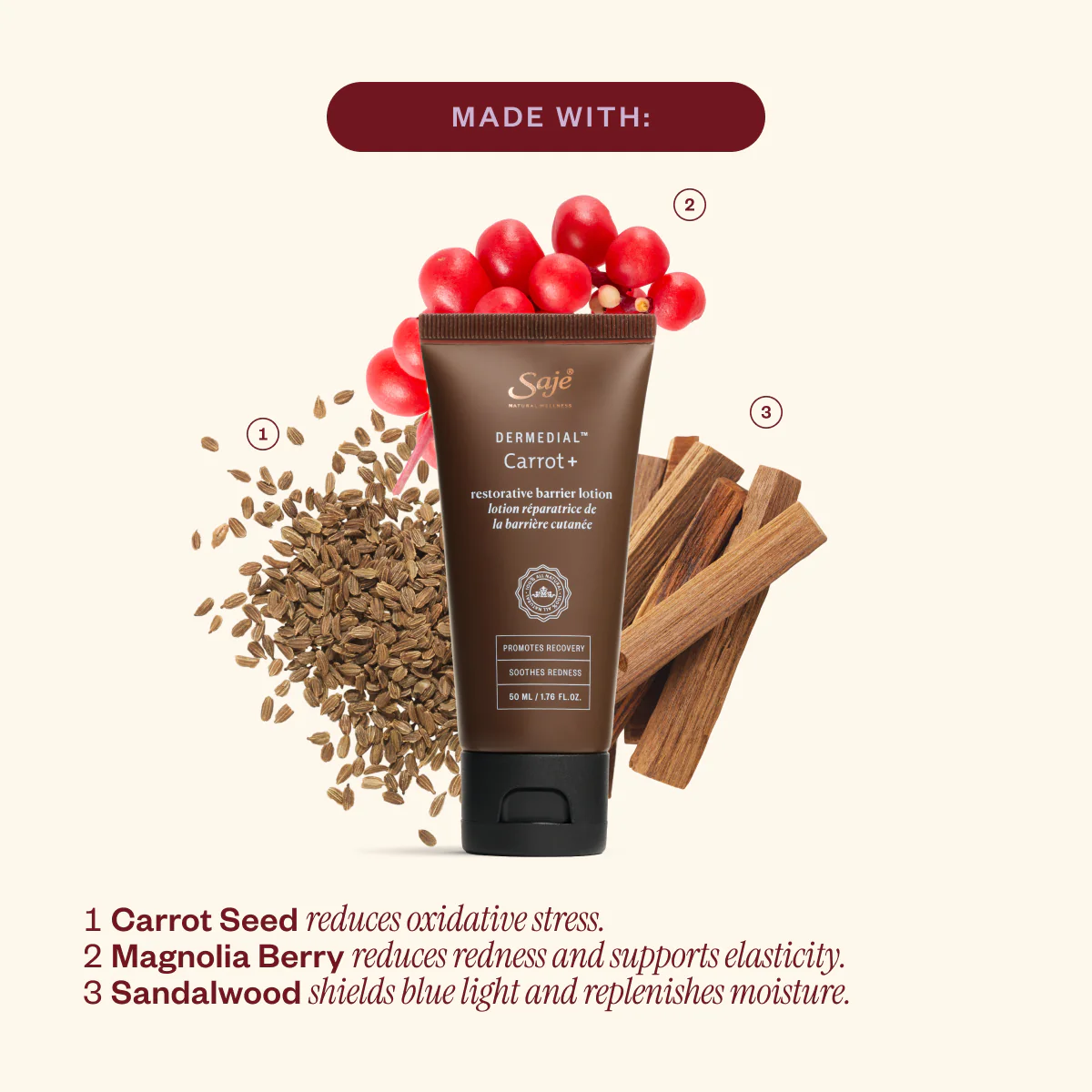 Winter Wonderskin - Image 6